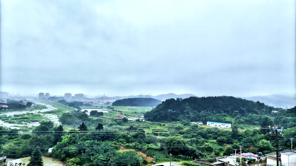 At summer dusk we immersed ourselves in the song of youth.