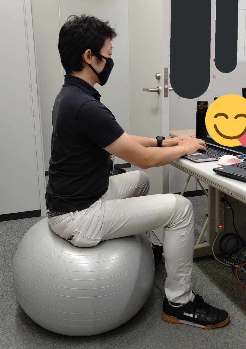 Makoshiki オフィスで椅子代わりにバランスボール試してみたけどまあ効果は分からないですね