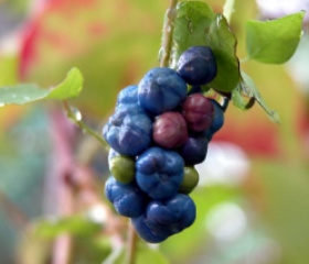 redpill.kr :: 나는 고발한다...!
zpr.io/Hnqiz