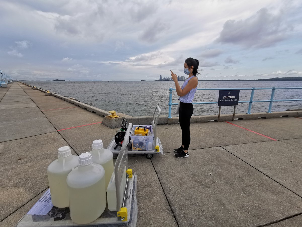 First sampling after the circuit breaker! :) <a href="/slime_lauro/">Lauro Lab</a>