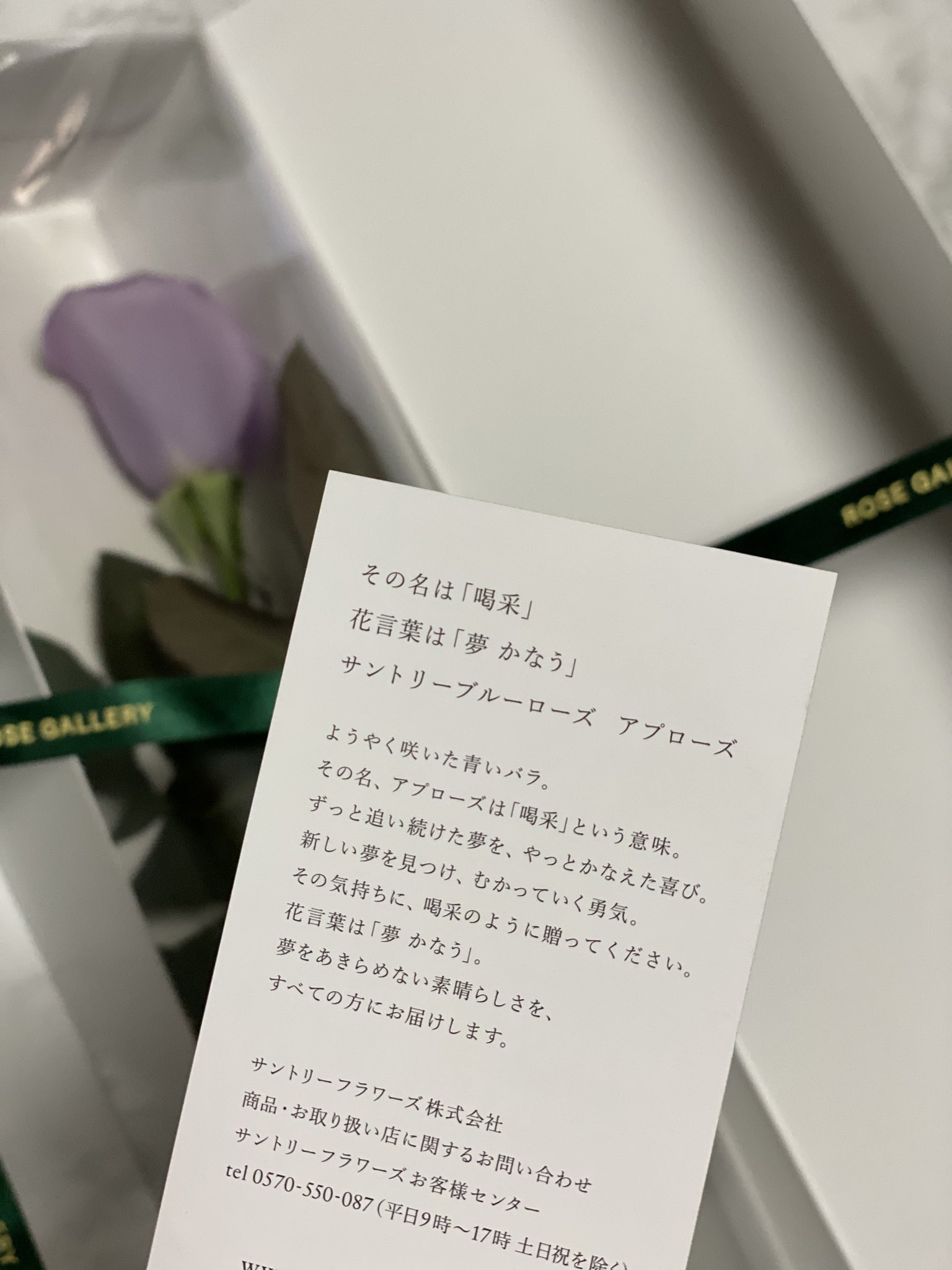 花言葉夢かなう Twitter Search Twitter