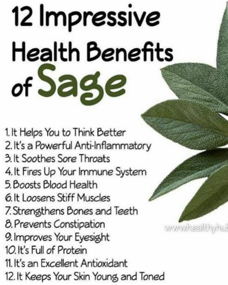 ZionAngeliyah's tweet photo. https://t.co/dggTFzelao