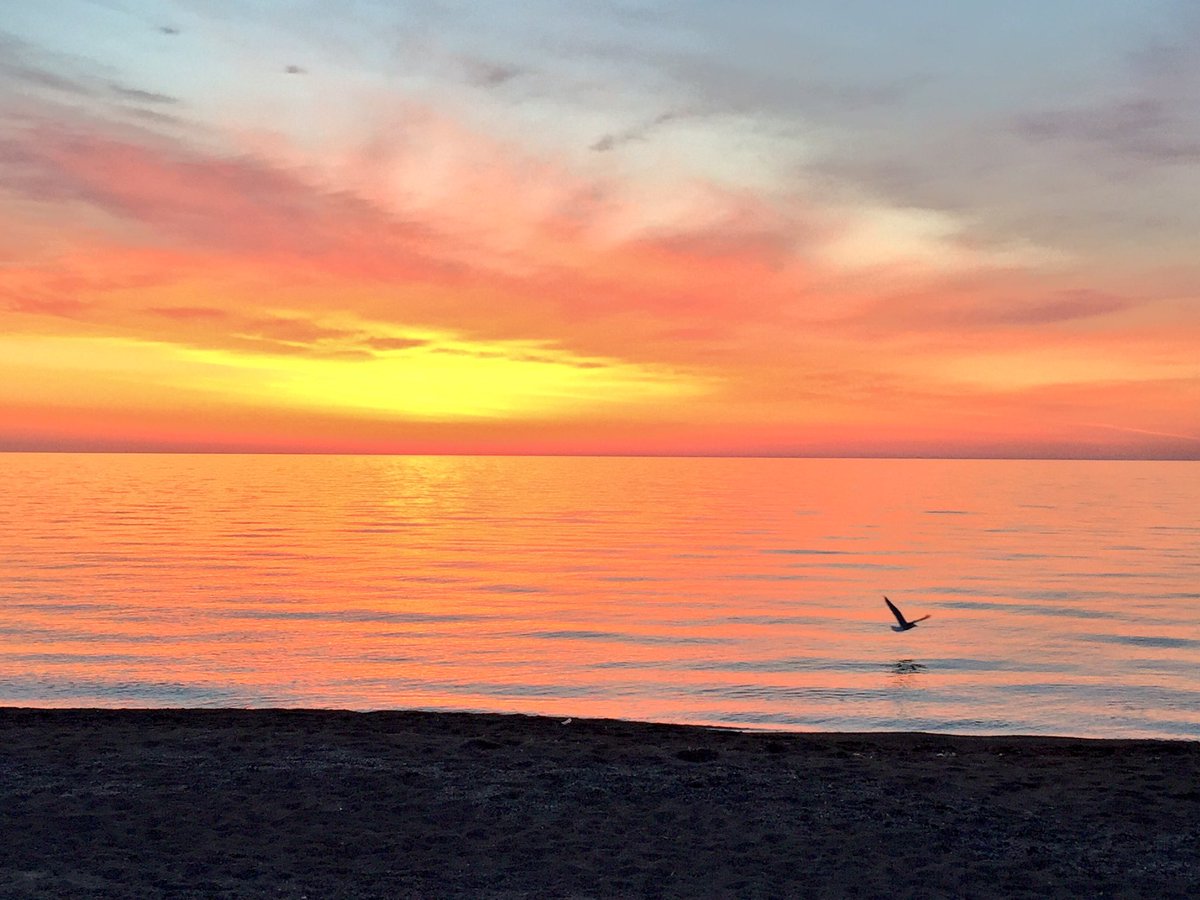 Hyde Park Chi Hydepark Chi Twitter