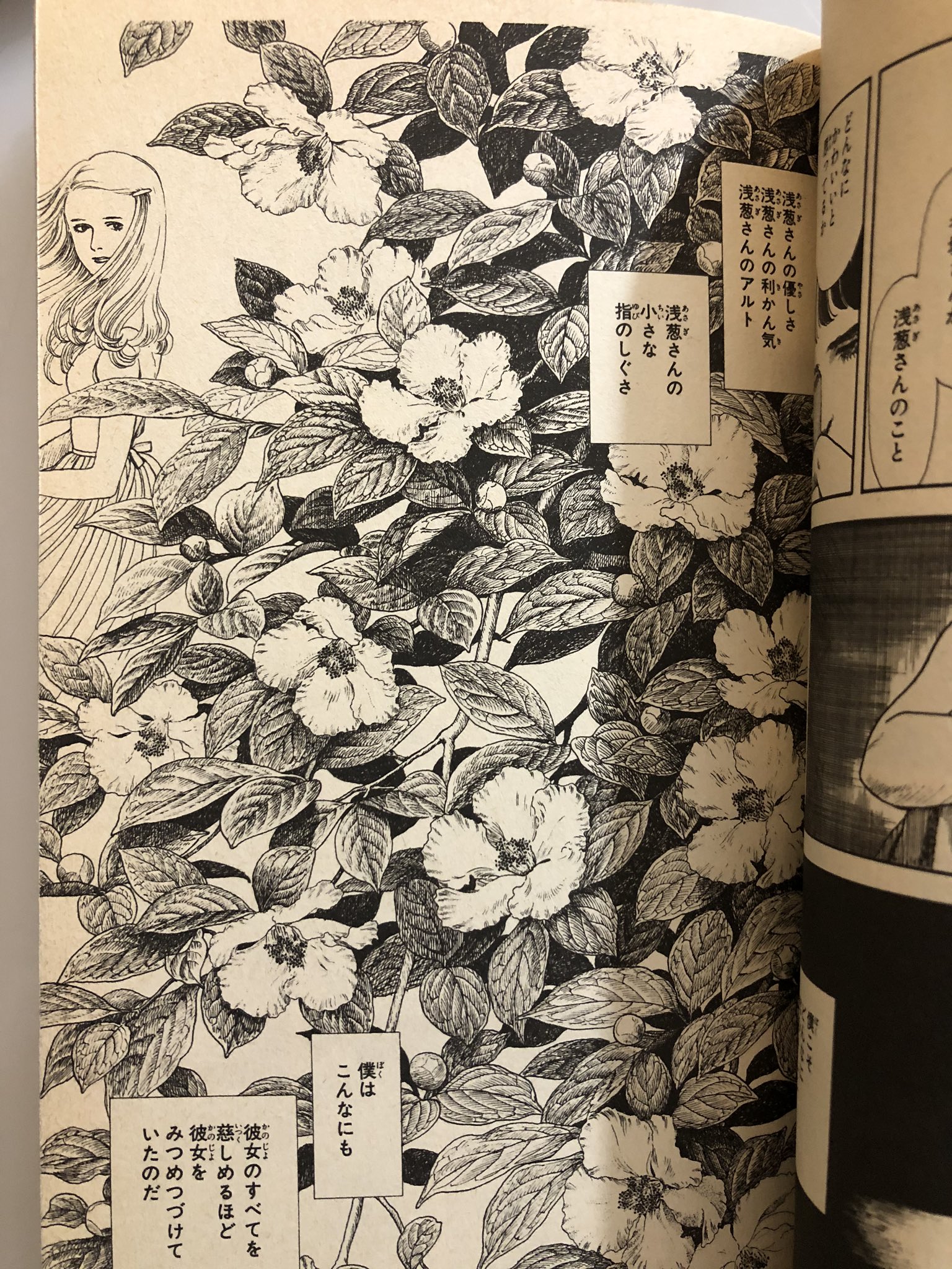 きたがわ翔 在 Twitter 上 内田善美先生の1番の傑作はリデルより空の色に似ている だと思っている 繊細なストーリーもいいがこのペンによる美しい細密画 なんとか大きなサイズで出版していただけないものかと T Co Arjqqxrsd3 Twitter