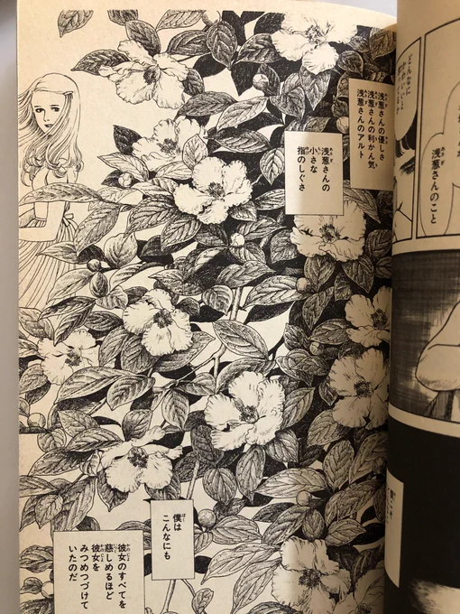 内田善美先生の1番の傑作はリデルより空の色に似ている、だと思っている。繊細なストーリーもいいがこのペンによる美しい細密画、なんとか大きなサイズで出版していただけないものかと。 