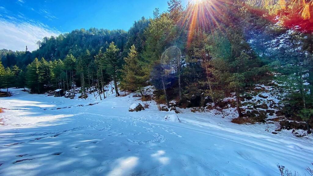 Frozen mornings | Thachi Valley | Himachal
-
-
-
#frozen #snowday #valley #sunlight #trekking #himachal #mountains #adventurevisuals #himachalpradesh #mountainlife #pixatube #picoftheday #photooftheday #shotoftheday #travelguide #travelcommunity #traveli… instagr.am/p/CBvM5RkDQ0g/