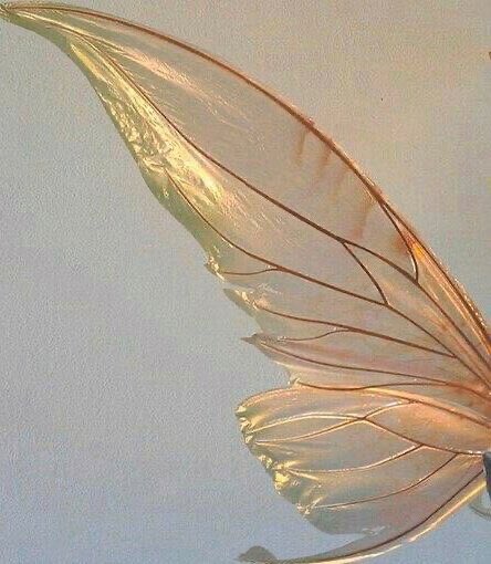 Those who don&rsquo;t believe in magic will never find it ✨ https://t.co/IJ5RIEJV89