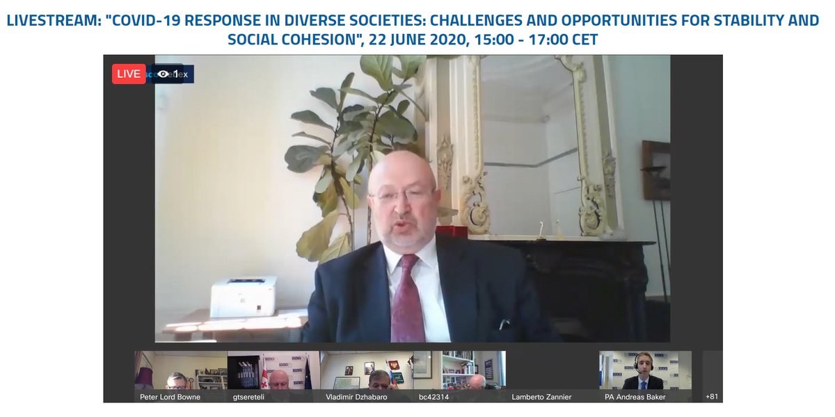 In #OSCEPA webinar today, @oscehcnm @lamzannier stressed the importance of protecting those who are more at risk because of the pandemic. Governments should prioritize protecting the economically vulnerable, maintaining zero tolerance for discrimination and xenophobia.