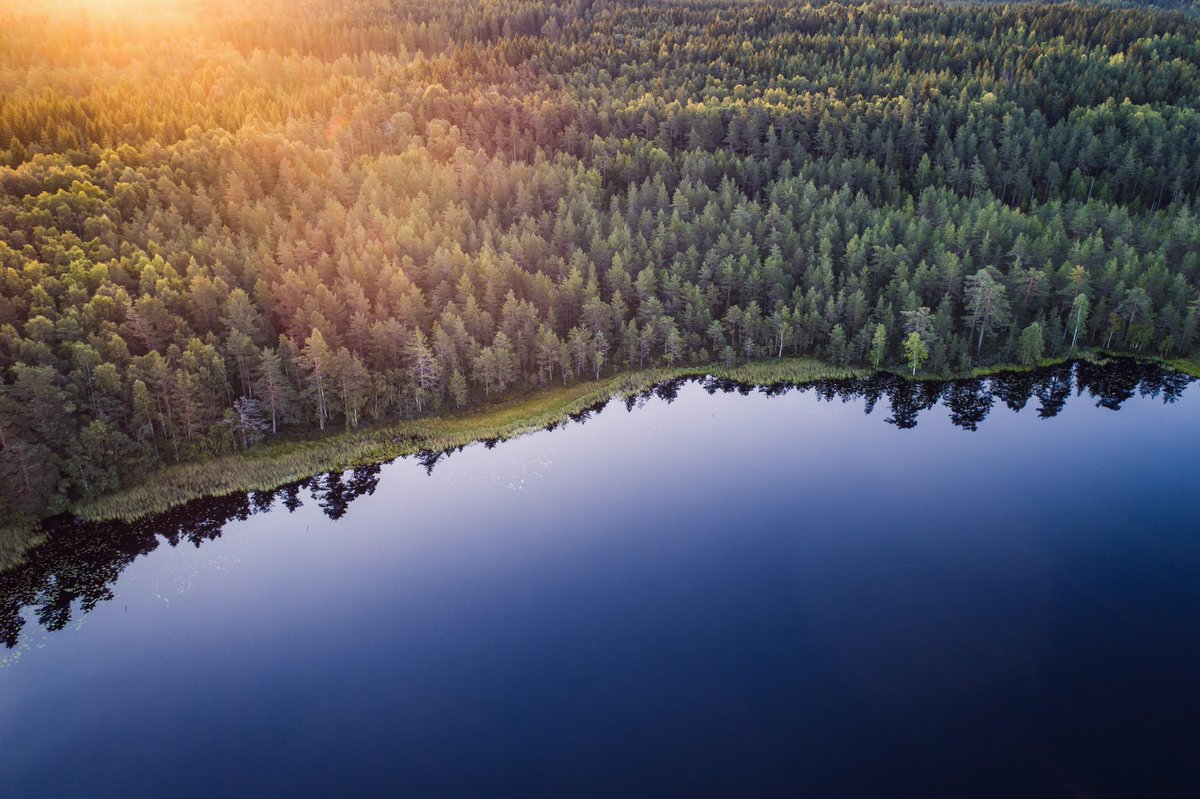Happy midsummer everybody! 

Yesterday was the summer solstice in Scandinavia which marks the longest day of the year! To celebrate here is a small collection of images taken over the past couple of midsummer seasons in Finland! 

bearphoto.co.uk