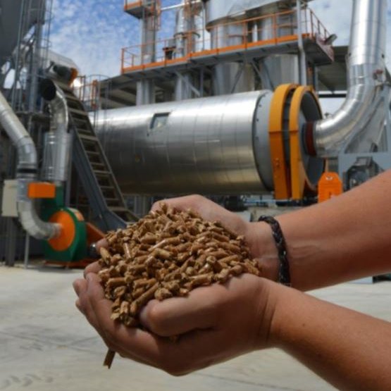 #SabiasQue España es el país con mayor número de plantas de #pellet de Europa ?
Desde principios de 2020, en España hay 76 plantas de producción de #pellet operativas, ☝️aunque más del 40% de las plantas son de tamaño reducido, con capacidades horarias por debajo de  1 t/h.