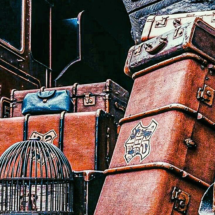 𓈒 𝖍 * e͟y  ╸🛹 𓏺𓏺𓏺 

                  requin ᚌ jungkook
               ᚁ · 𝒇oll ╸𝓽alk 𓊪̅ 1997 ⠂ᚐ 

/ * ลฟตท . 📠 -