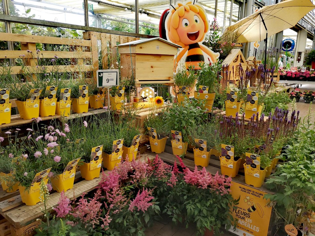 val_hor's tweet image. 🐝Semaine des #Fleurs pour les #Abeilles🐝

Pour cette 4ème édition vous avez été plus de 500 #professionnels à nos côtés afin de protéger la #biodiversité.

🙏Merci à tous pour votre implication, votre bienveillance et votre mobilisation.

@OFApidologie @fforbees