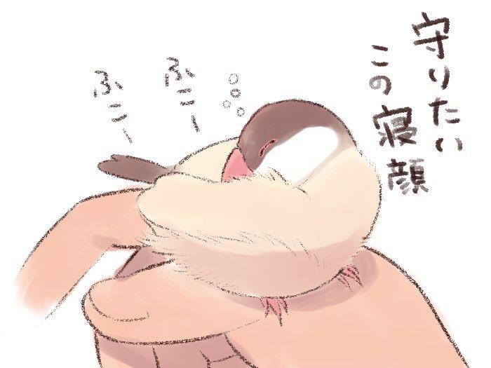 すんすん 