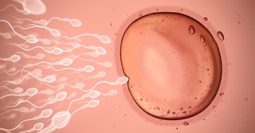 Dari sudut mikroskopik pula ianya adalah sesuatu yang diluar akal fikiran bahawa 1 daripada 4 trillion sperma yang ayah kita hasilkan sepanjang reproductive years-nya dan 1 daripada 100,000 ovum yang mak kita hasilkan sepanjang umurnya