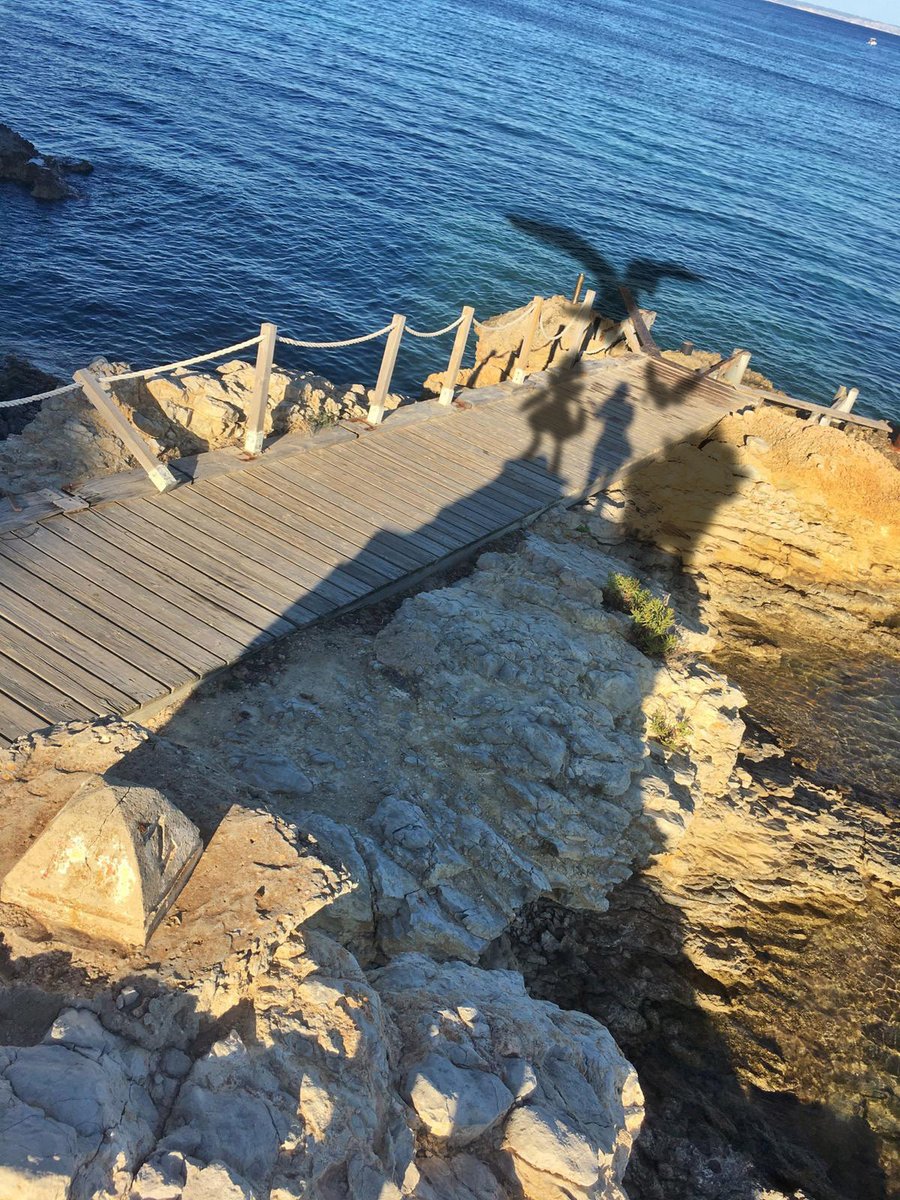 Patri SkyTrainer tweet media