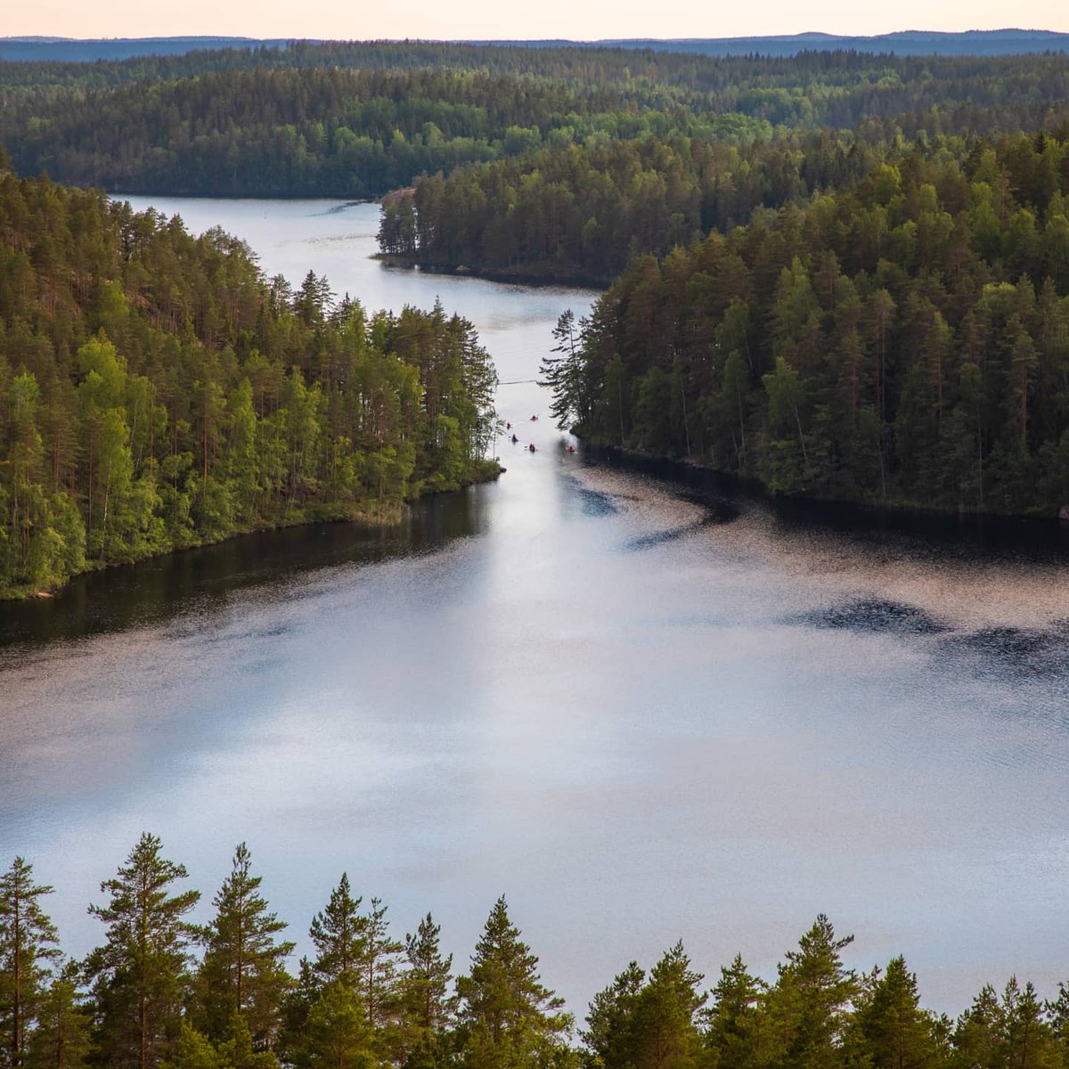 wildplanetblog's tweet photo. Midsummer in Repovesi National Park, Finland

#Finland #repovesi #Suomi #juhannus #luonto #nature #dronephotography #drone #hiking #north #dji https://t.co/z0CoEx5b26