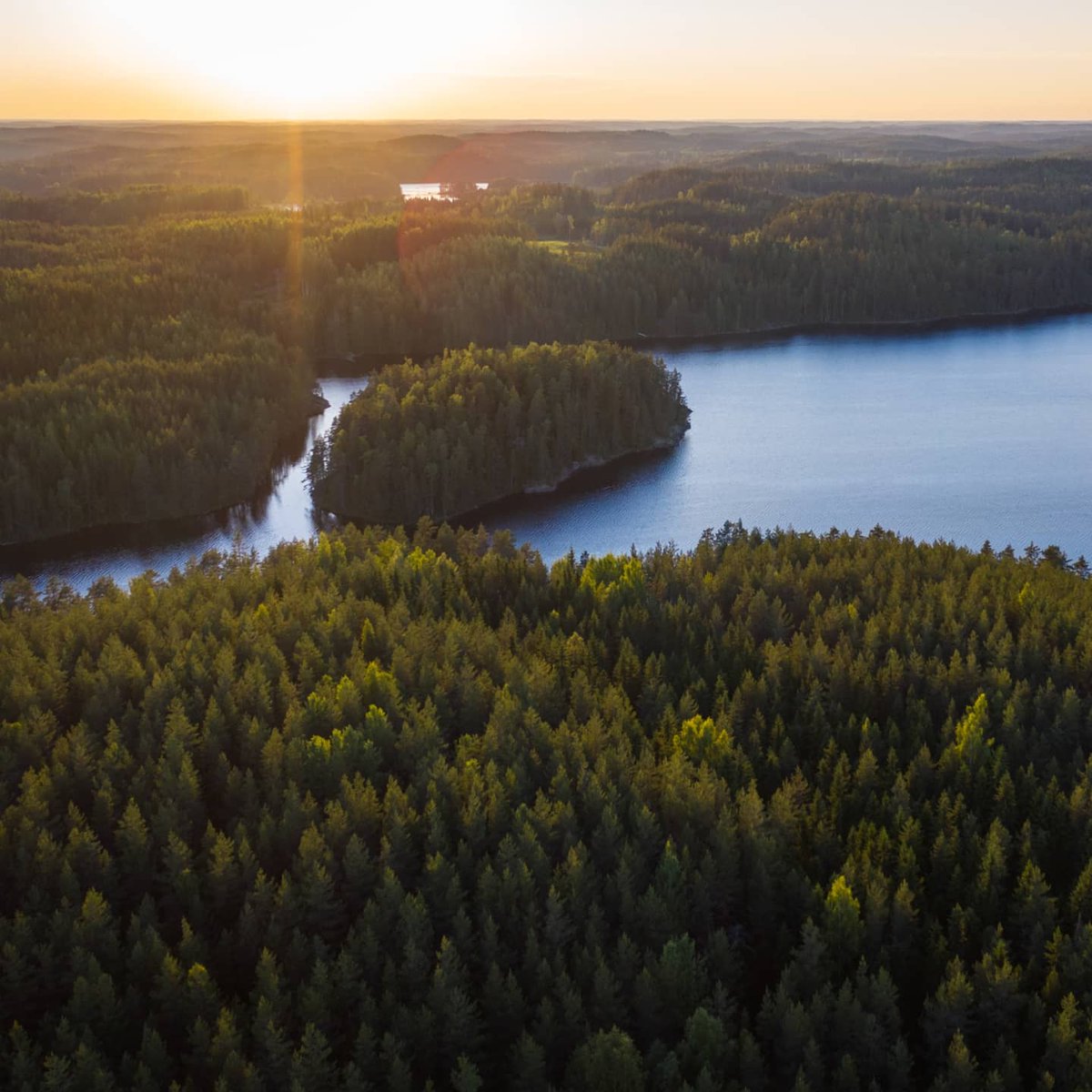 Midsummer in Repovesi National Park, Finland

#Finland #repovesi #Suomi #juhannus #luonto #nature #dronephotography #drone #hiking #north #dji