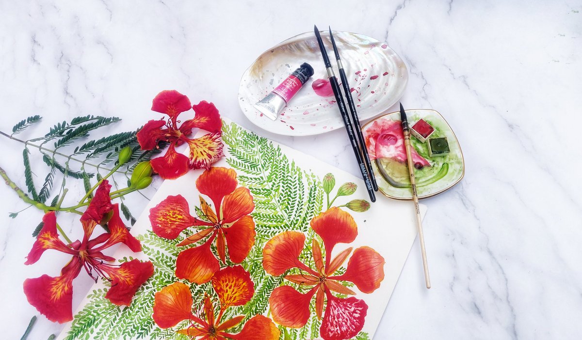 LaburnumSoul's tweet photo. Painted Delonix Regia, Gulmohar flowers today. I posted a part of it few days ago along with its tutorial on my IGTV. Checkout my IG account @laburnumsoul for more !
Day 72/100  #the100dayproject2020
#watercolorart #watercolorpainting #laburnumsoul https://t.co/2p5XYhBBVN