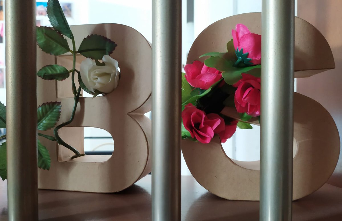 Desde el estudio elbesodelsapo.com os deseamos Feliz Verbena de Sant Juan!