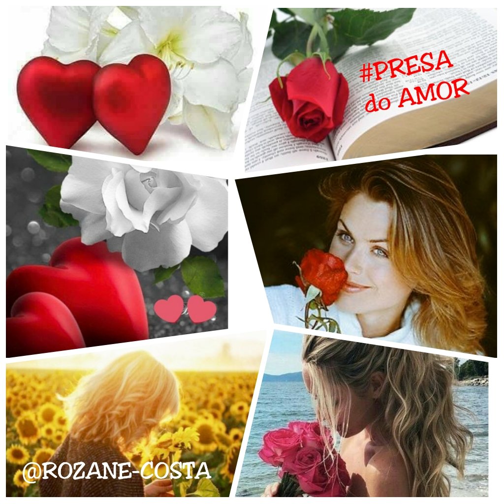 Rozane_Costa's tweet photo. @Paulo97813048 #TardeTeAmei #Horizonte #hojeAmanhãdepoisDeAmanhã " Contigo eu prosseguirei, ñ importa onde cheguei, determino o meu coração, atravesso os montes, sim eu vou , se eu te olhar eu vou * #ConfiançaJesus #Maanaim #InteragirComEle #DiálogoComEle #girassóis https://t.co/IfIlvl5AAR