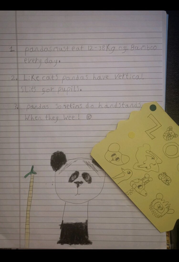nmckenna_'s tweet photo. Wow! Look at this wonderful work by Primary 4/3! 🤩 Last week we prepared for a ‘Virtual Class Trip’ to @EdinburghZoo. We then enjoyed watching the live cameras and researched interesting facts about the animals 🐼🐯🐨 I’m so proud of this fantastic #homelearning 🌟 https://t.co/9IZno1ehoY
