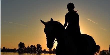 OttawaValley_HC's tweet photo. https://t.co/PGoNrkz3Mb Our hunter pace series' first jewel will benefit the Lanark County Therapeutic Riding Program

Date: Sunday, July 5
Schedule: Pre-registration and pre-payment required. Secretary's booth opens at 8 am. Teams of max. 3 riders start between 9 am and 11 am. https://t.co/eOvFlf7YJJ