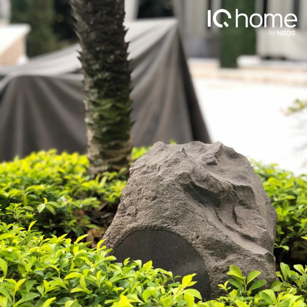 IQhome tweet media