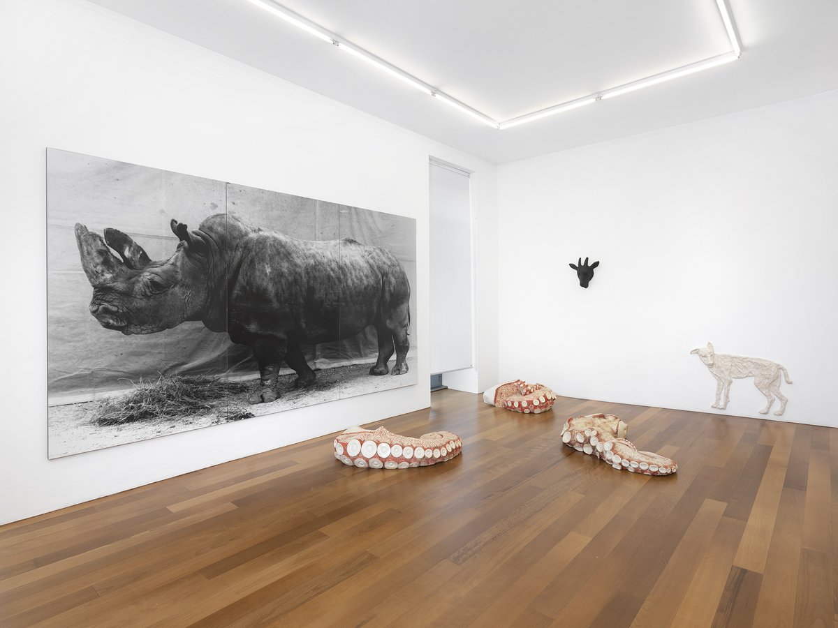 UPLIFT group show at #XippasGeneva. With #alfredoaceto #alinebouvy #balthasarburkhard #miriamcahn  #anncraven  #thomasliulelann #xaviermary #vikmuniz  <a href="/VikMuniz/">Vik</a> #jochenplogsties #ericpoitevin #ugorondinone #joanavasconcelos Until July 31st, 2020