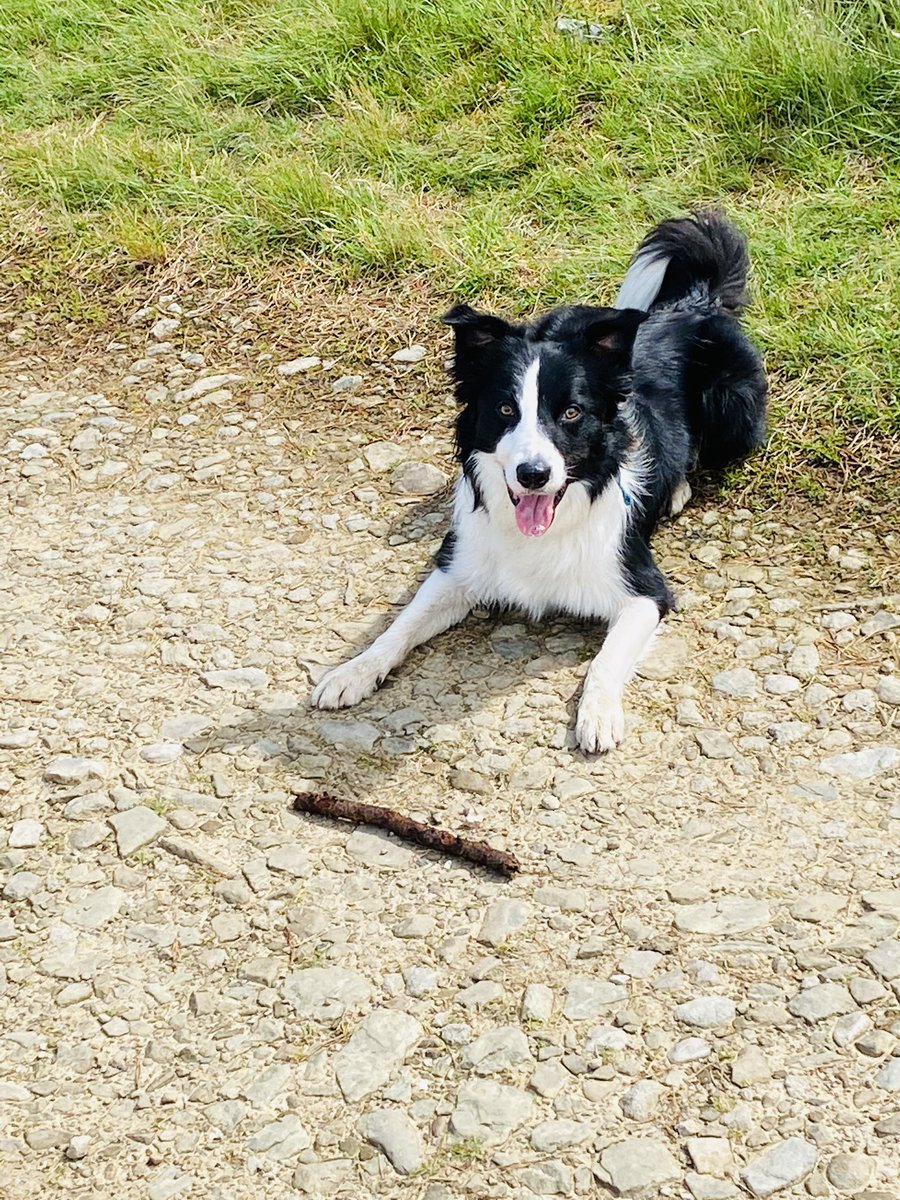 There’s nothing better than getting out on the fells after 3 long months!  Ralf and I went out in the Pennines to test our legs and enjoy stunning views.

An update on Challenge The Wild activity for 2020/2021 to follow later this week.