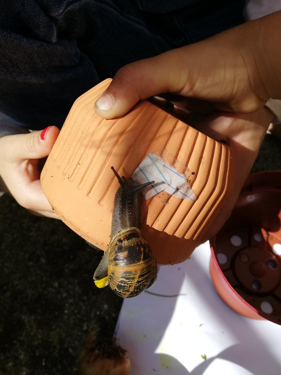 LILIJAKMA's tweet photo. @jns_san Discover snails in the garden. Amelie observe how snail movement. So happy back to the playground after the restrictions lifted. Enjoy learning piano by https://t.co/arBgp5mp7Z experiment with daddy learn to make crystals. https://t.co/2T1cvc5Sqk