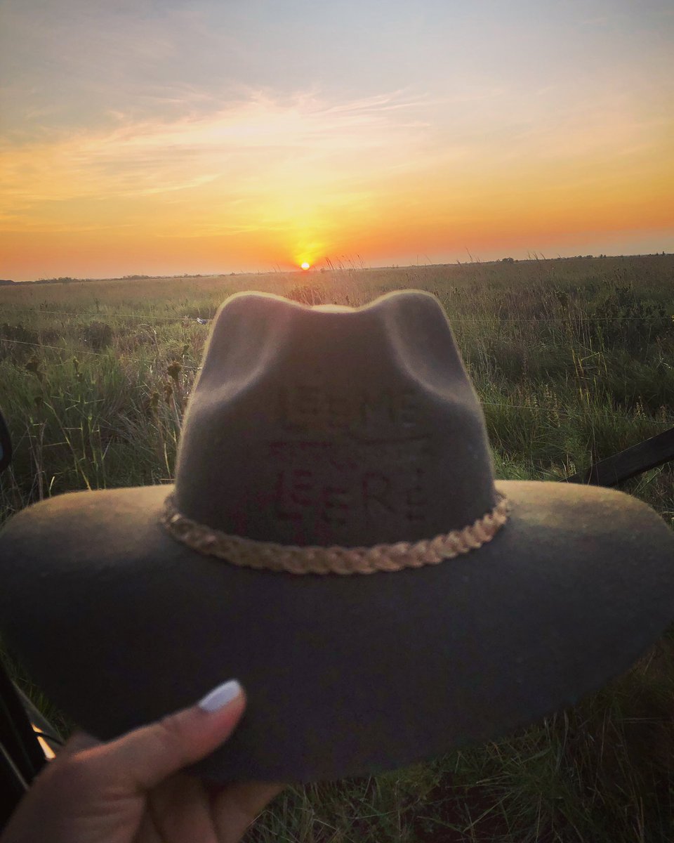 leemeyleere's tweet photo. “Un atardecer #llanero le pone al paisaje un toque que hace más lindo el sendero pa’ que la vista lo enfoque...ya el #sol se va sambullendo sobre la cresta del #monte y el #arrebol va extendiendo su magia en el #horizonte...” Jorge Guerrero 🧡🌎🇨🇴🌅 #LlanosDeColombia https://t.co/CiXdzyKZ8w