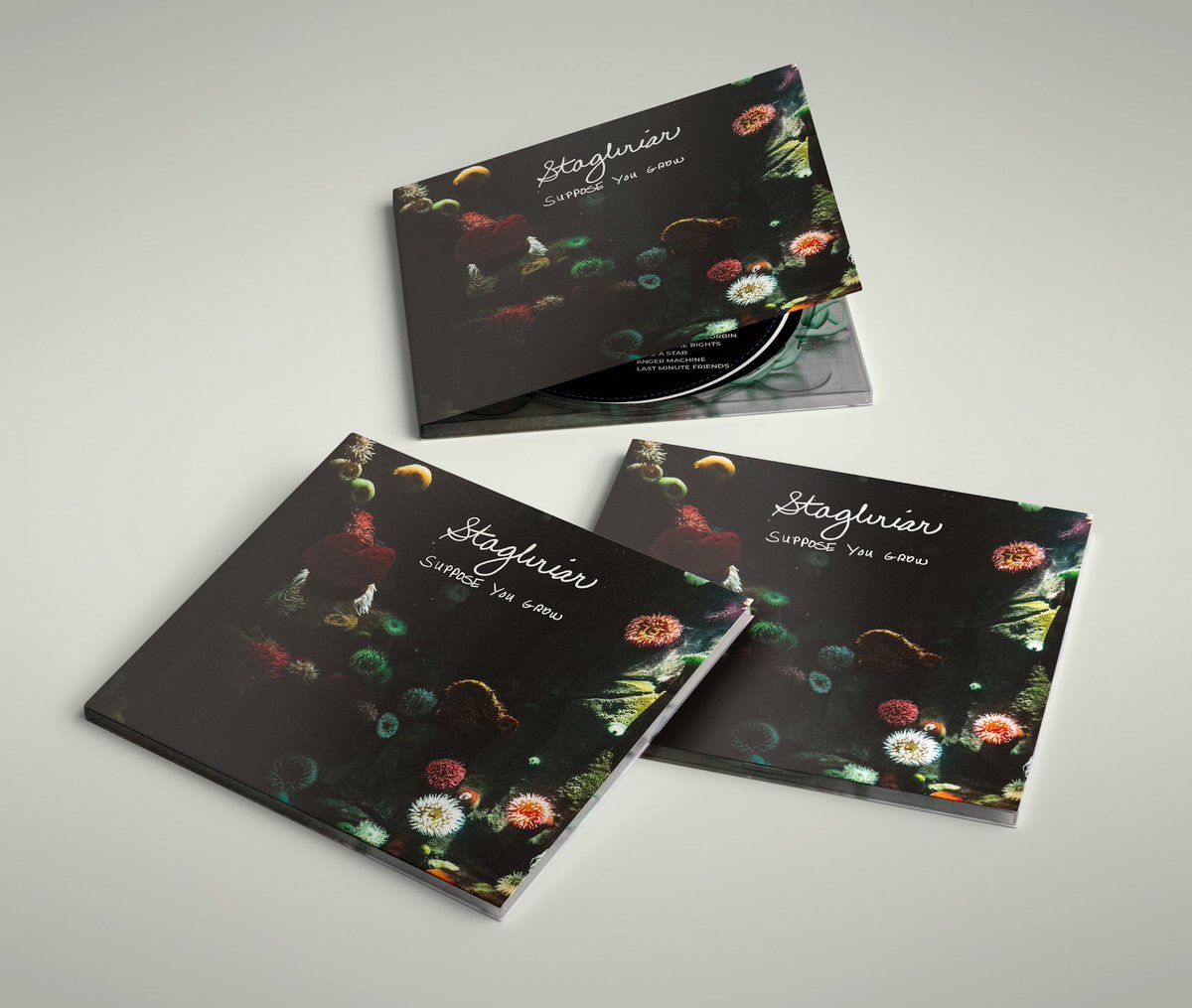 LP2 “Suppose You Grow” is available for pre-order today via Stagbriar.com. 100% of proceeds from today’s pre-orders will go to The Bail Project. For a list of other places you should give before buying our album click here:

facebook.com/35380410469234…