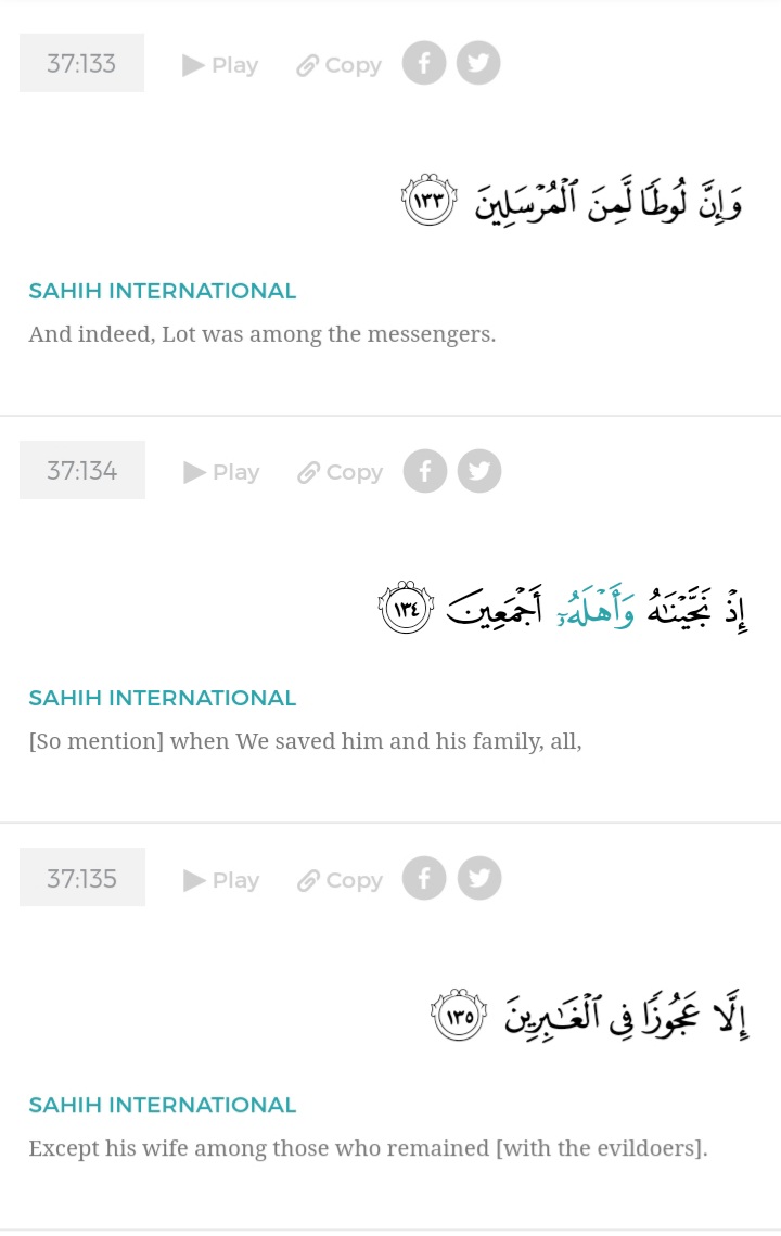As Saffat (37:133-138)These ayahs are just a reminder about how the whole town was annihilated- Allah wants us to learn from these signs. And the Quran asks us to use our ‘reason’ and understand why Allah’s wrath was sent to these sinners. 16/n