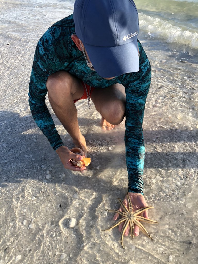 TaleTravelers's tweet photo. Love that he supports my #shelling habit! 👀 what he found while we were hunting yesterday ⬇️ https://t.co/Gtx2oFxXno