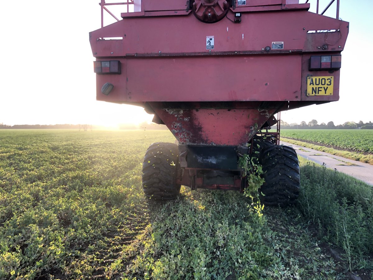 ajfarming's tweet image. And begin