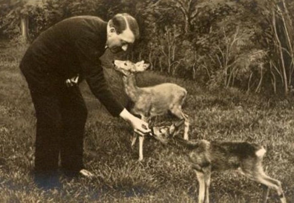 HunTatuador's tweet photo. Me quedo con esta imagen. Hasta siempre Hitler 😔

De lo otro no voy a opinar. https://t.co/xfdf43FBTu