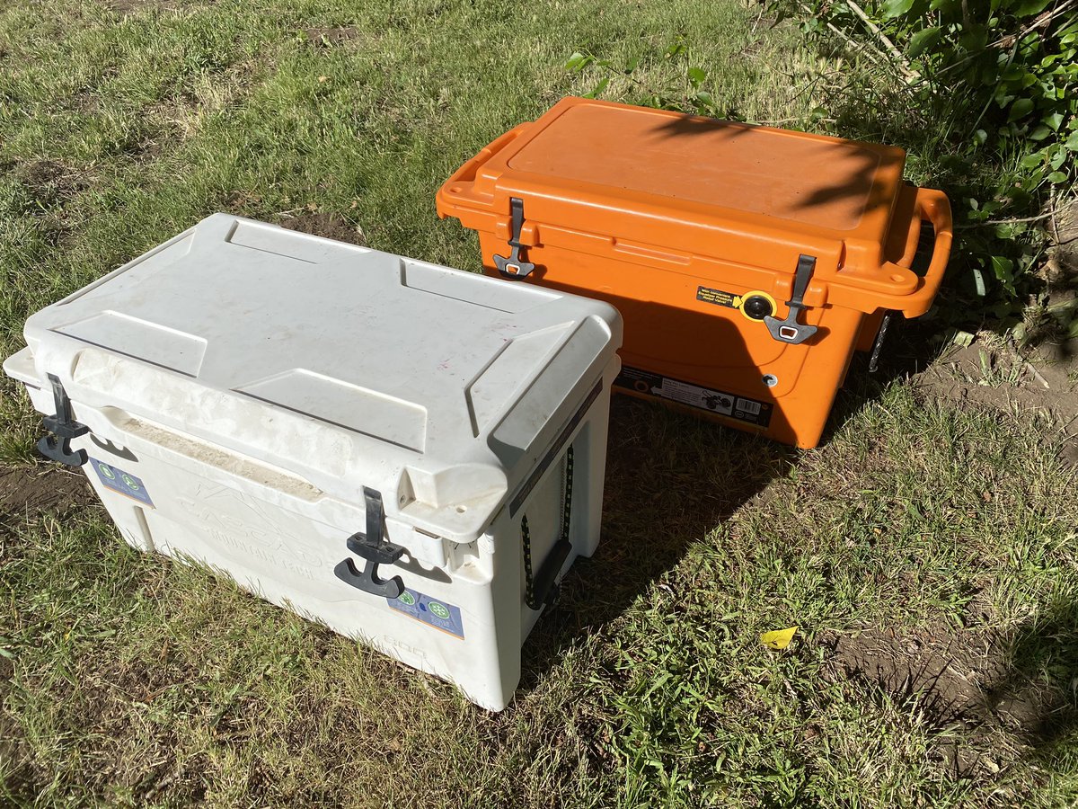 cabela's orange cooler