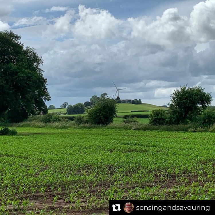 ActivityJournal's tweet photo. The weekend is for walks 🌲🐾🌳
Repost from @sensingandsavouring
#mylockdownjournal
#ww2memorial #walknotts #explorenotts #nottslife #notts #farnsfield #578squadron #halifaxbombermemorial #sensingandsavouring #health #mentalhealth #positivity #nature
#photography https://t.co/uYcjCnYhdq