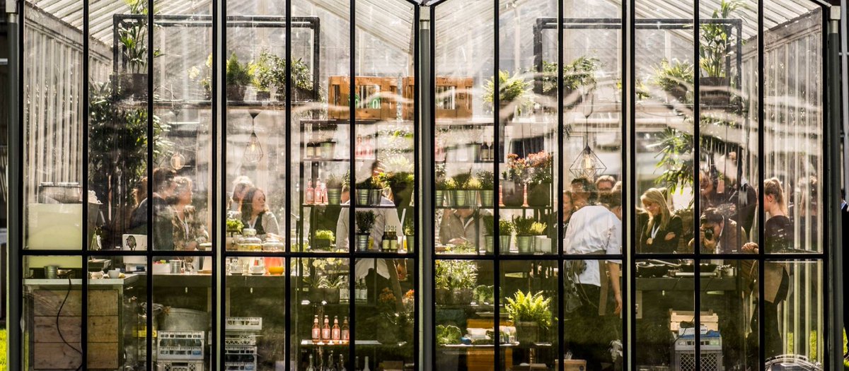 Obsession tweet media