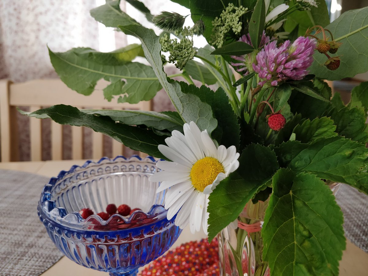 Leopardus_rubus's tweet photo. Leucanthemum vulgare et co; ja joka päivä voi vaikka kerätä uuden kauniin luonnonkukkakimpun niityltä #vieraslajitorjunta on ollut pitkäjänteistä ja onnistunutta #lupiini https://t.co/1toBn1tSgr