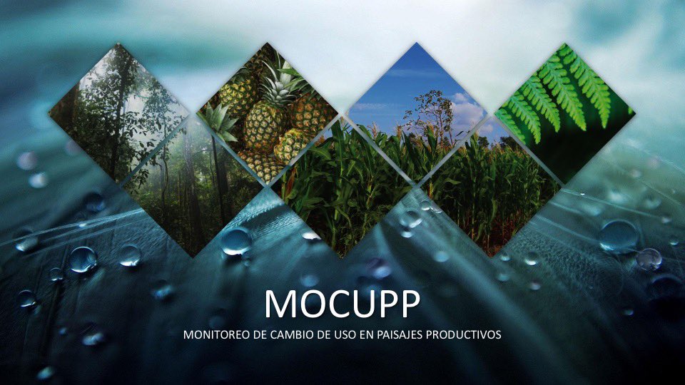 rafaelmongecr's tweet photo. Desde el #CENIGA @CRMinae, hemos desarrollado una nueva aplicación en Sistema Nacional de Información Ambiental #SINIACR para presentar los datos desarrollados por la herramienta #MOCUPP, sobre los cultivos de #piña, #palmaaceitera y #pastos 
+ info: https://t.co/SgYNz6A6xA https://t.co/8Oa4GyZTS5