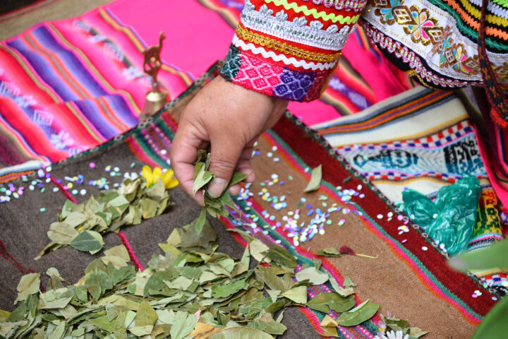 Bibliotecas Públicas tweet media