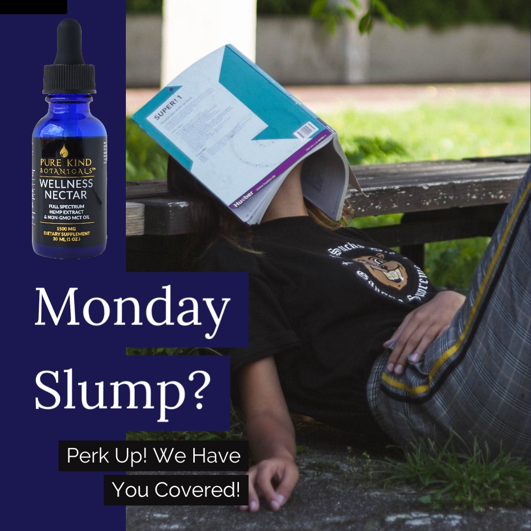 BotanicalsKind's tweet photo. Don't let the start of the week get you down! We have what you need to perk up and face the week head on!

#PureKindBotanicals #cbd #hempoil #wellness #organic https://t.co/hFBNWfSHaF