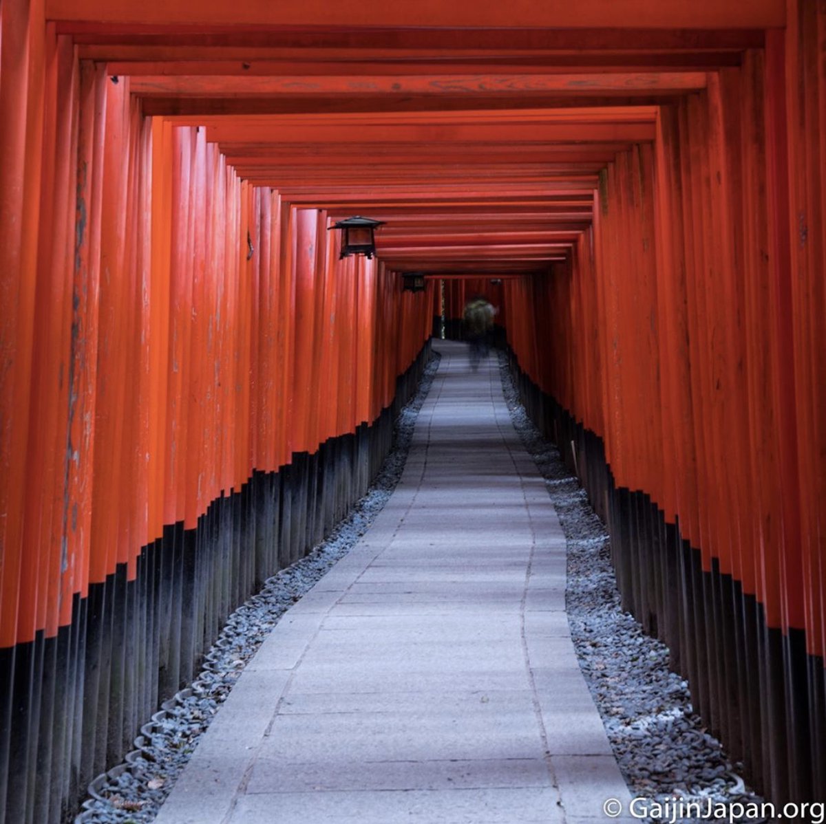 UnGaijinAuJapon's tweet image. P4 - Symétrie de Torii aux Fushimi Inari Taisha ... ne manque plus que la Geisha!

#BattlePhoto