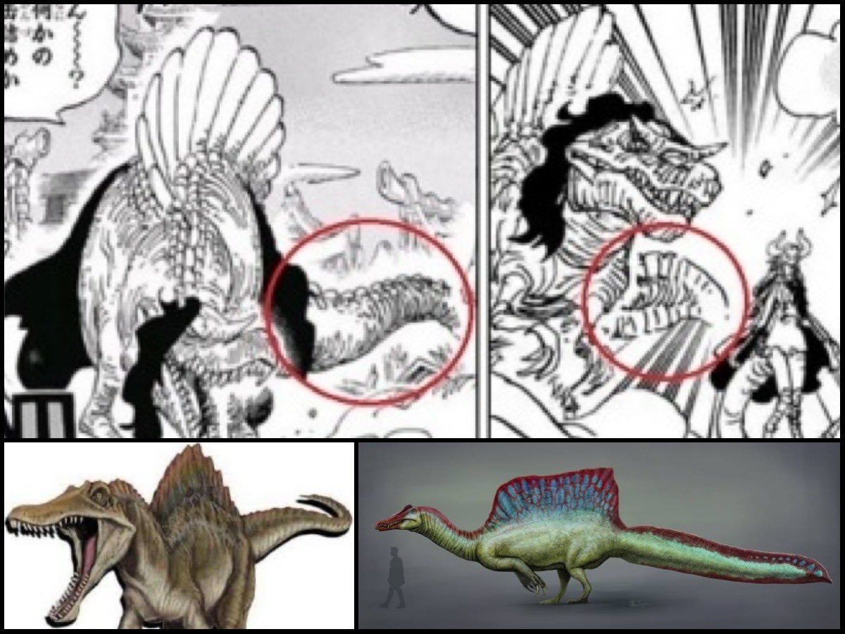 Log ワンピース考察 בטוויטר ワンピースでは ティラノサウルスの能力者は出ないのかもしれない というのも スピノサウルス ページワン の姿が最新予想に即しているモノに描き直されたから つまりティラノが登場する際にも最新の予想姿での登場となる筈だよね