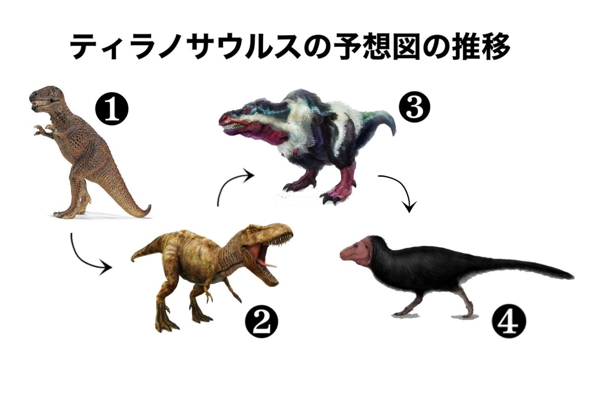 Log ワンピース考察 ワンピースでは ティラノサウルスの能力者は出ないのかもしれない というのも スピノサウルス ページワン の姿が最新予想に即しているモノに描き直されたから つまりティラノが登場する際にも最新の予想姿での登場となる筈だ