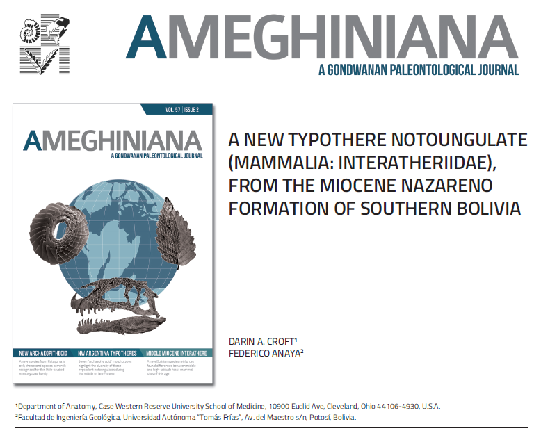 ameghiniana's tweet photo. Ameghiniana 57(2): Recently Published Article 🆕 - #VertebratePaleontology

A new #typothere #notoungulate (#Mammalia Interatheriidae), from the #Miocene Nazareno Formation of Southern #Bolivia, by D. Croft @dcpaleo &amp; F. Anaya 

#SouthAmerica #Cenozoic #BodySize
@Apaleontologica https://t.co/SFlQKaxCv2