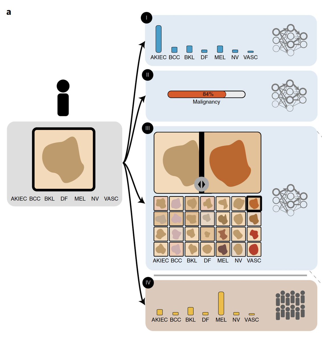 The potential for use of #AI in dermatology has had considerable interest. But this new @NatureMedicine study takes the field much further, showing the multiple ways that human-machine collaboration can improve accuracy and workflow nature.com/articles/s4159…