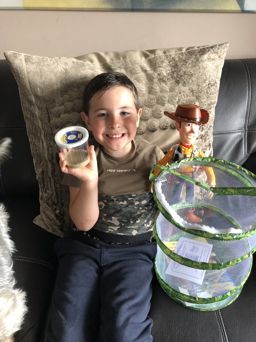 DrumparkMrsM's tweet photo. @KirkshawsPS 
C got his baby caterpillars through the post today 🐛 https://t.co/HTBBr0yy9y