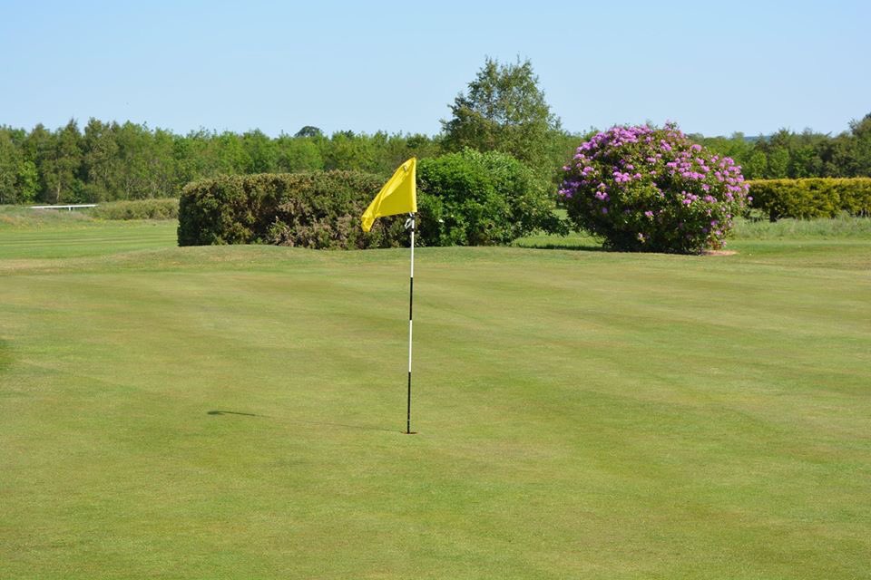 Down Royal Park GC tweet media